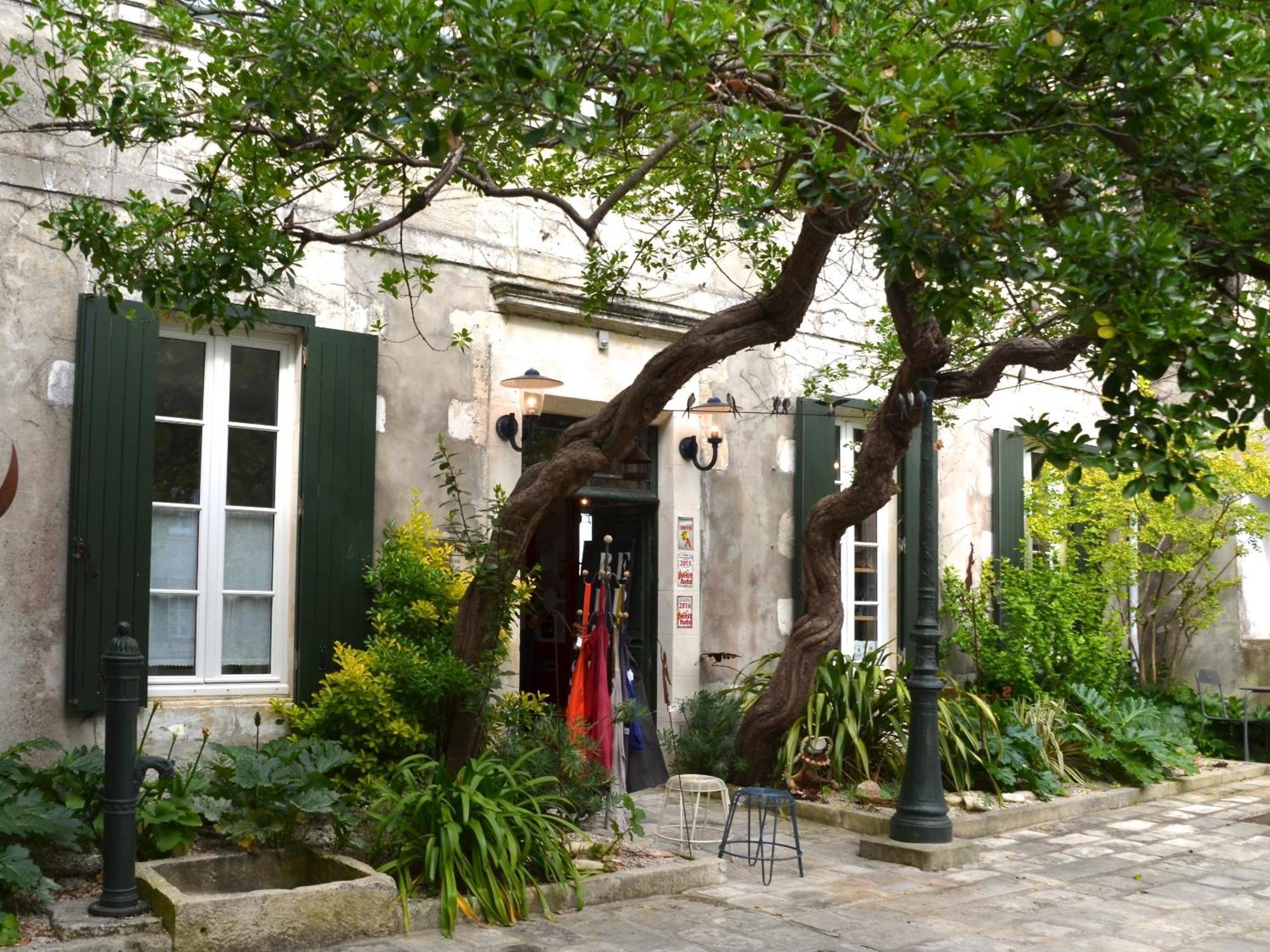 ラ・フロット Le Mole Bed & Breakfast エクステリア 写真